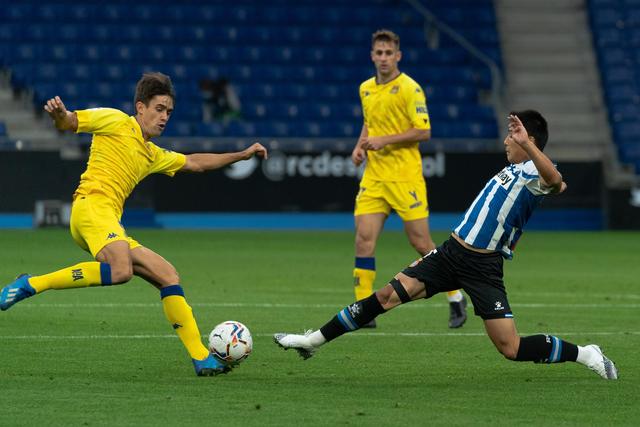 ued官网体育专业服务图片